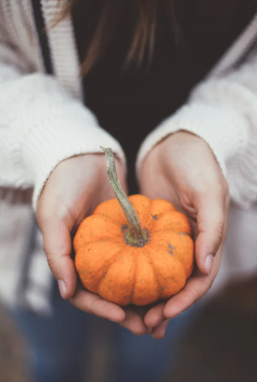 pumpkin in a hand