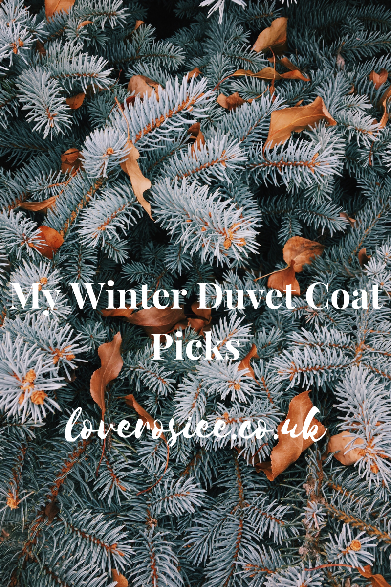 My Winter Duvet Coat Picks