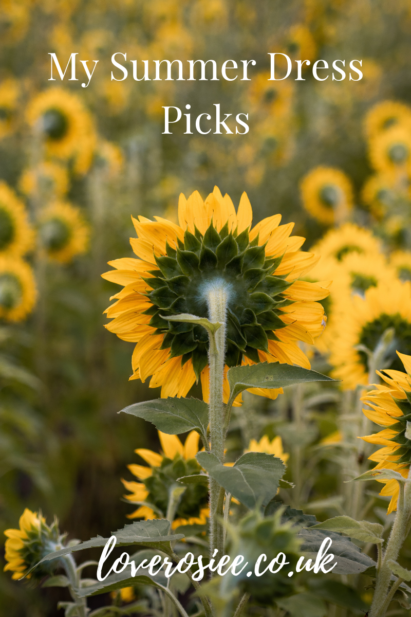 My Summer Dress Picks