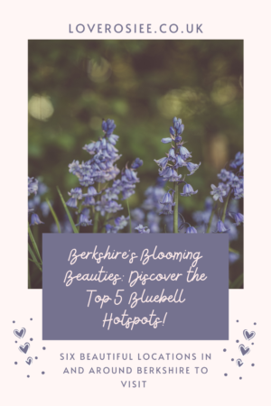 https://www.pinterest.co.uk/LoveRosieeBlog/